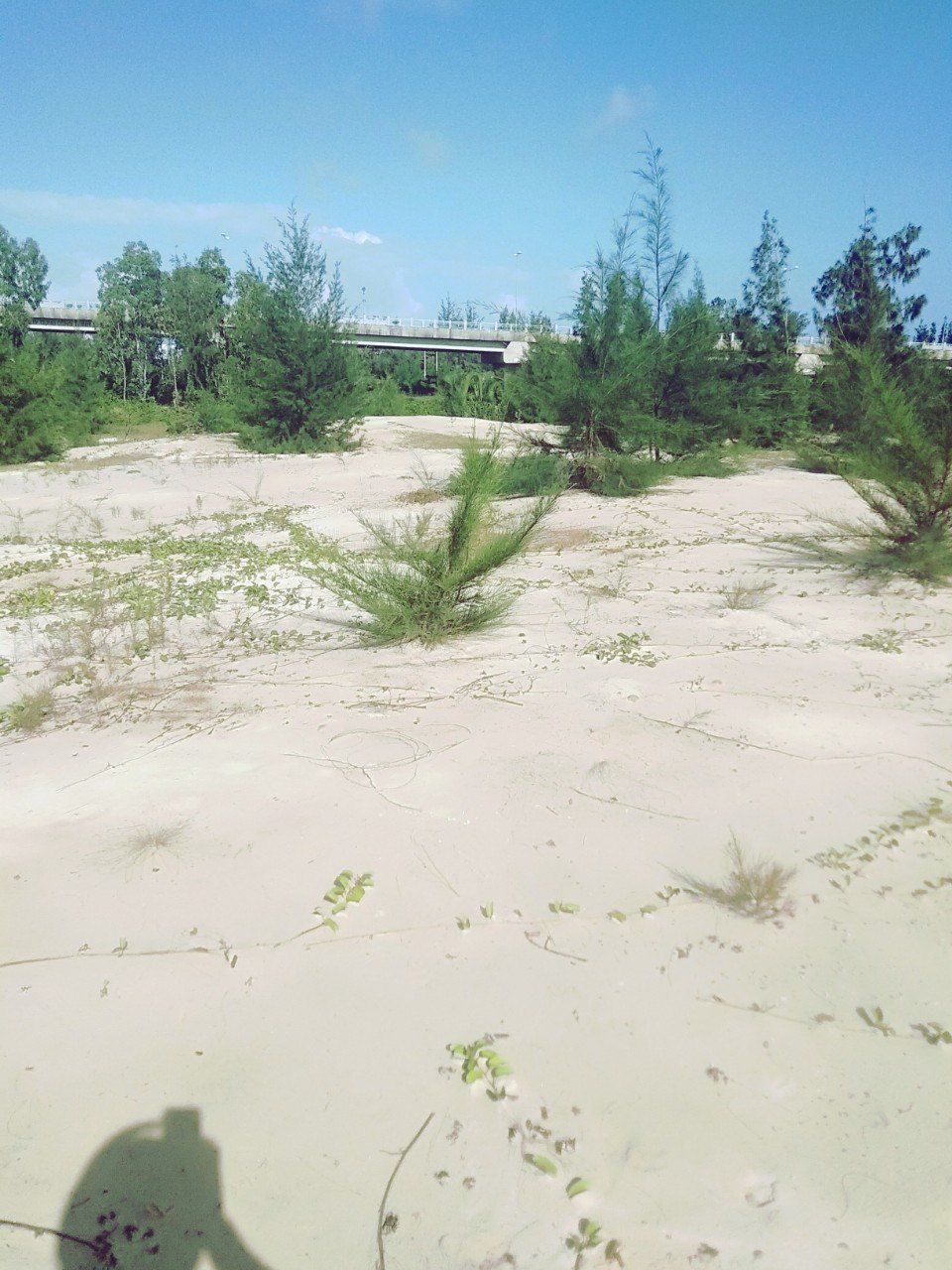 Di tích Cuộc nổi dậy Bến Chùa