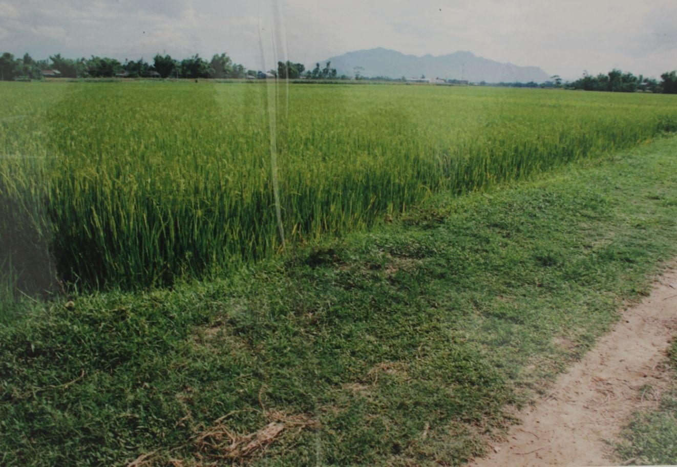 Di tích Sự kiện hầm Hấn