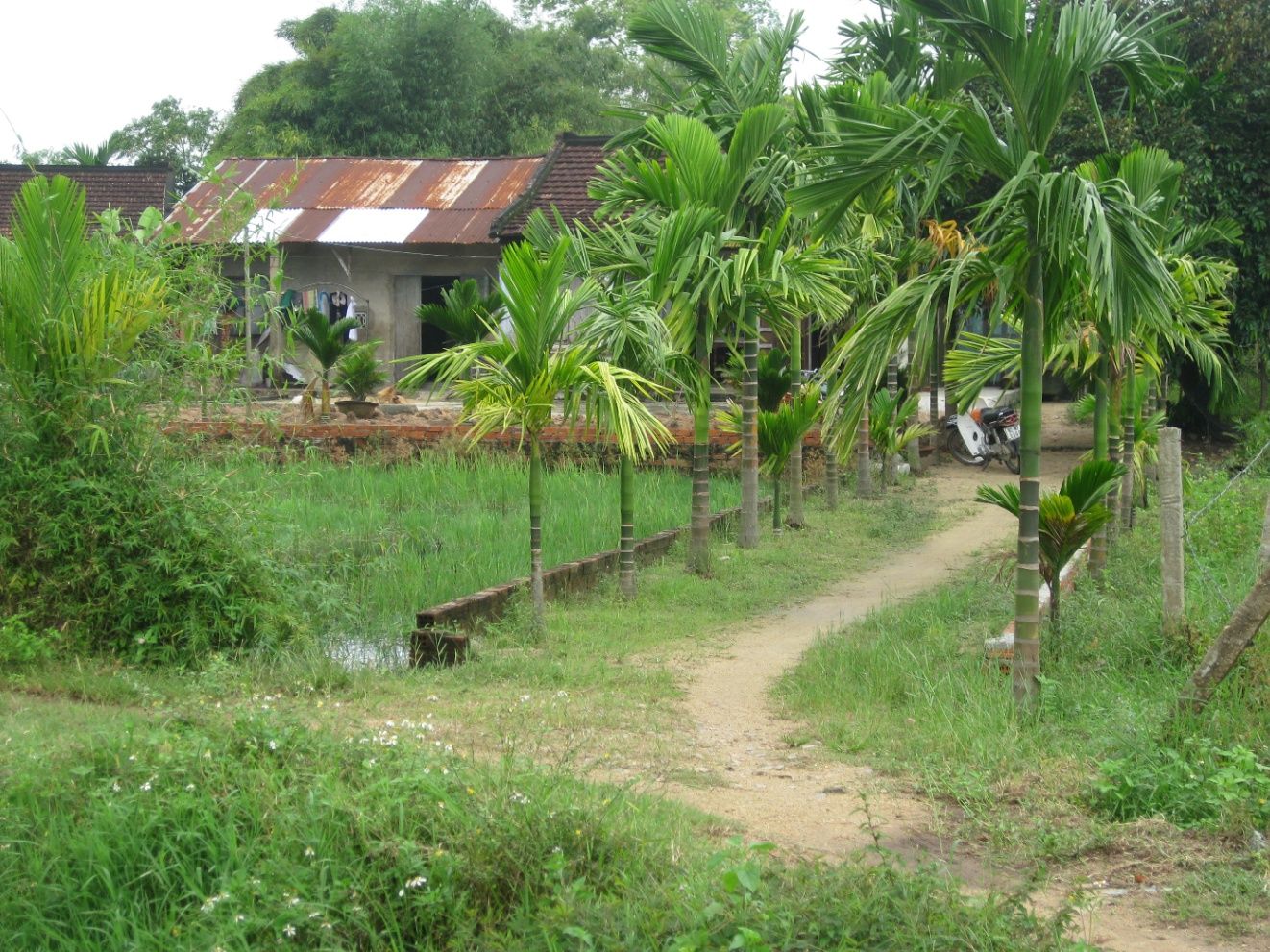 Di tích Cơ Sở Cách Mạng - Nhà Bà Huỳnh Thị Khánh