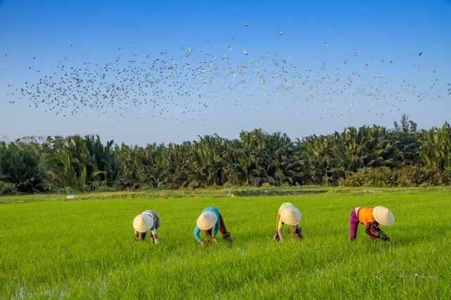Làng du lịch sinh thái cộng đồng Trà Nhiêu